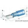 Cosses faston pré-isolées thermorétractables étanches 6,3 mm - Osculati Cosses et Cables électriques 8033137092244 14.798.01